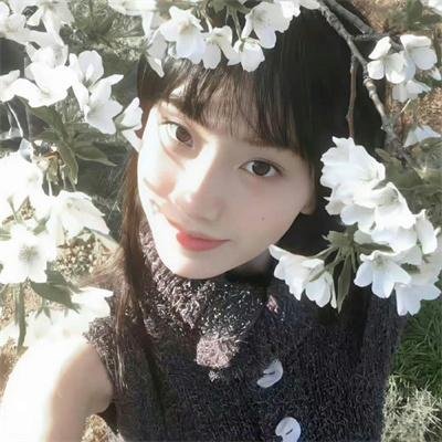 森林之北